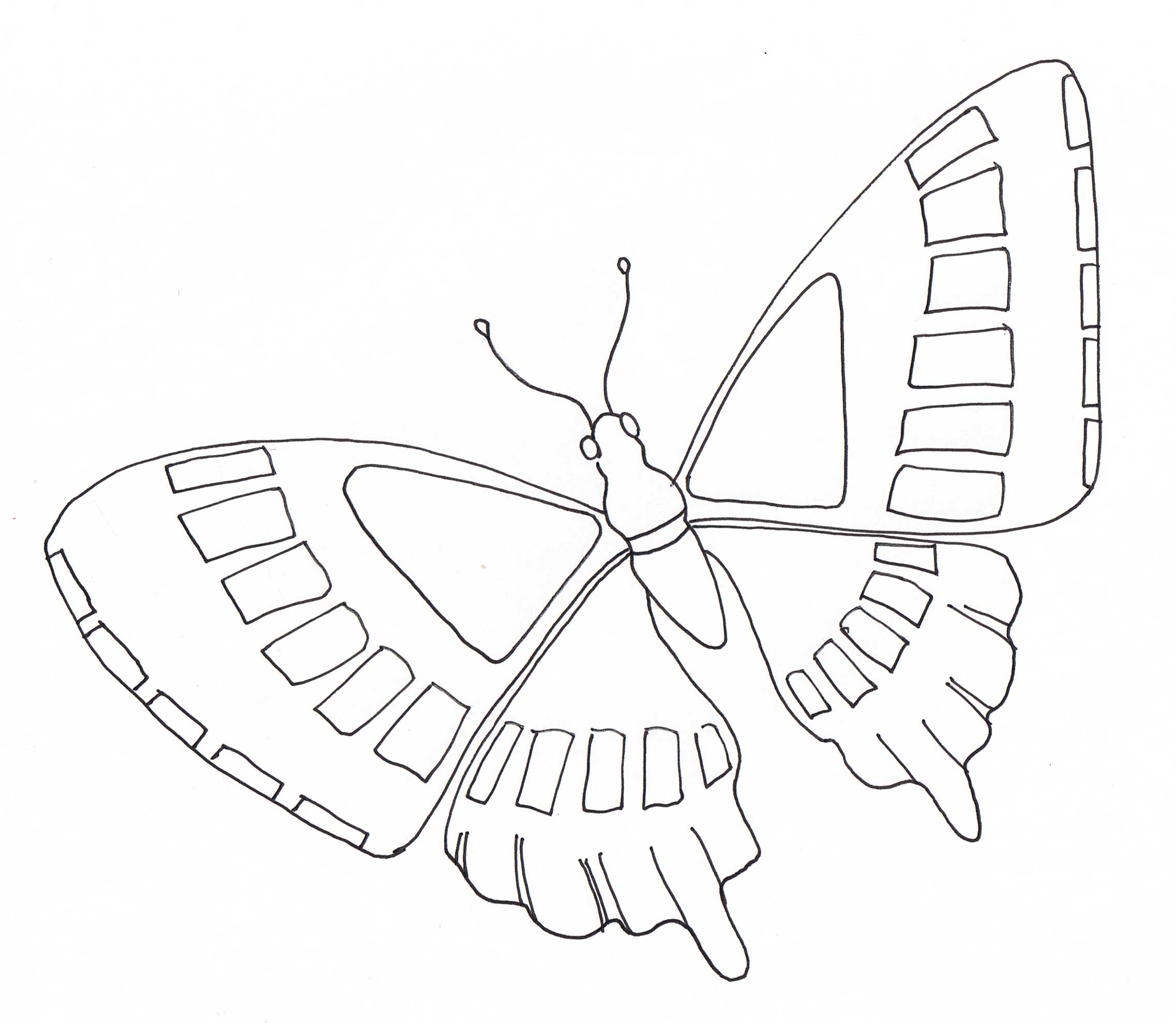 COLORIAGE PAPILLON 2