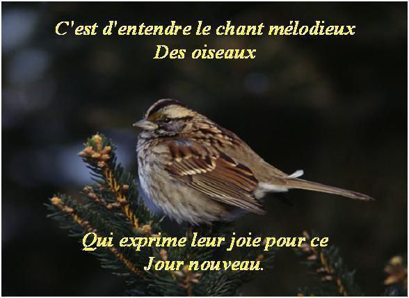 Citations